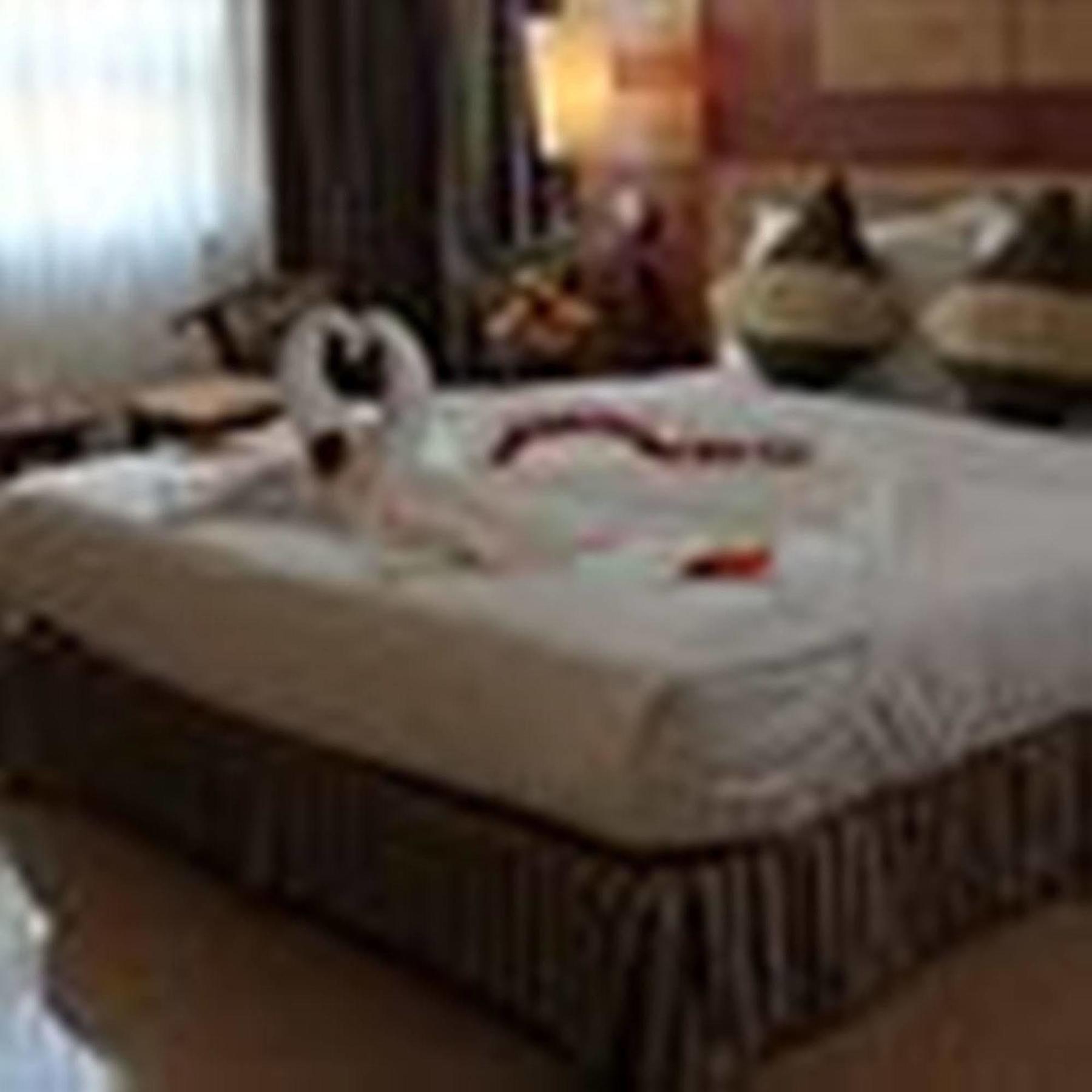 Vian Da Nang