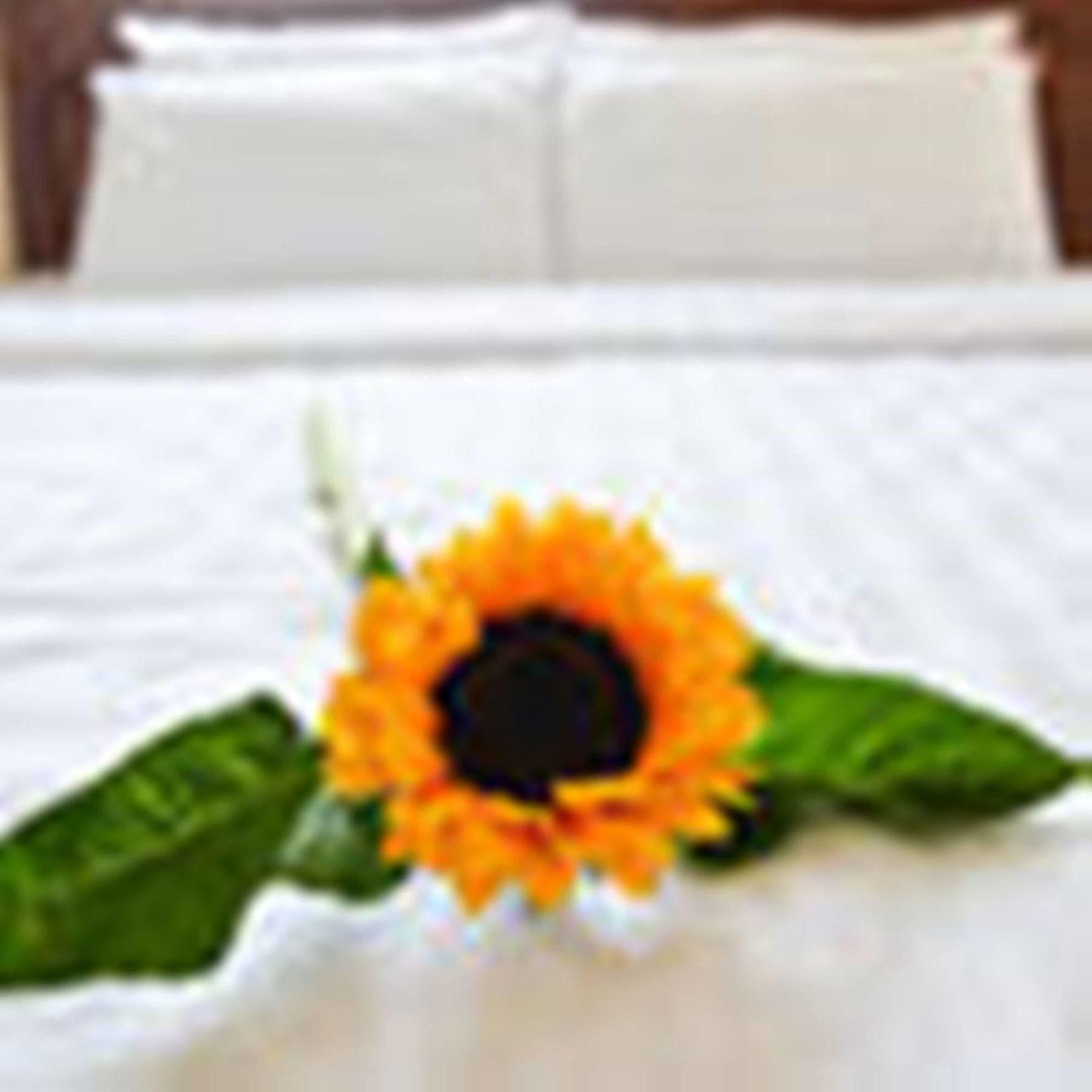 Fulmar Hotel Da Nang