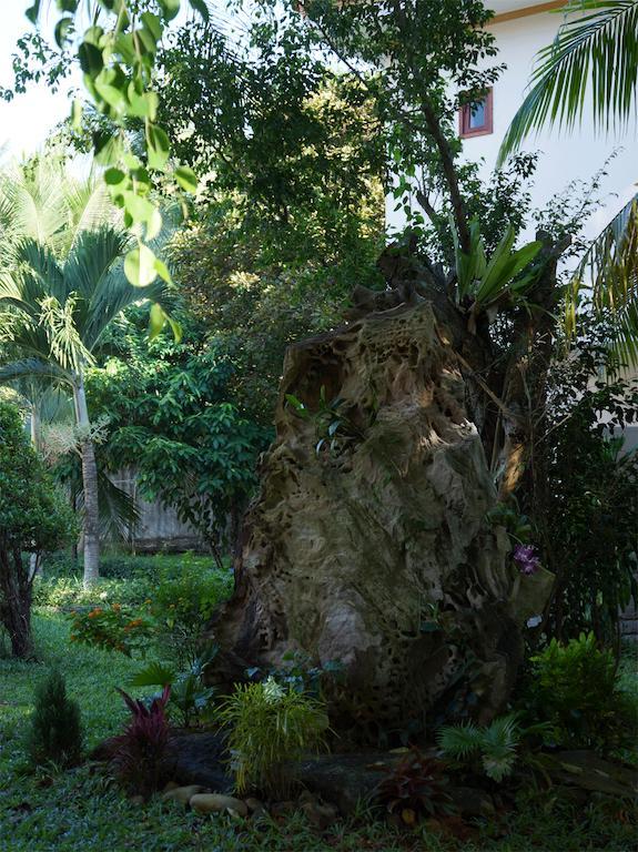 Viet Thanh Resort