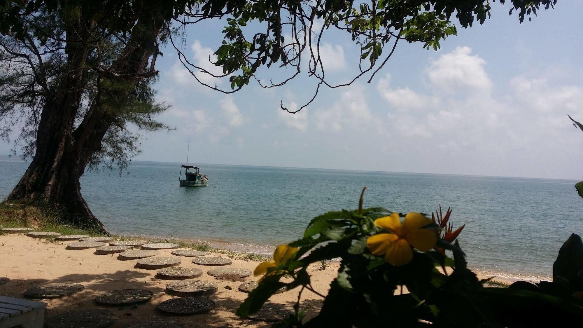 Wild Resort
