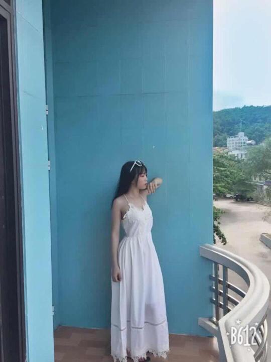 Hotel Viet Anh 123 *