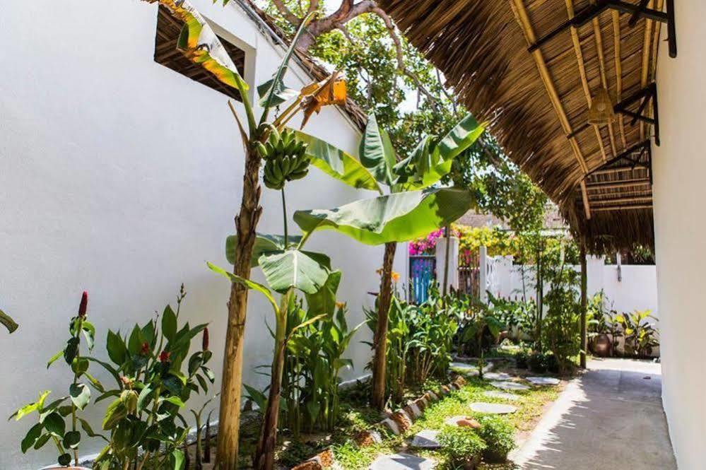 An Bang Vana Villas Homestay Hoi An