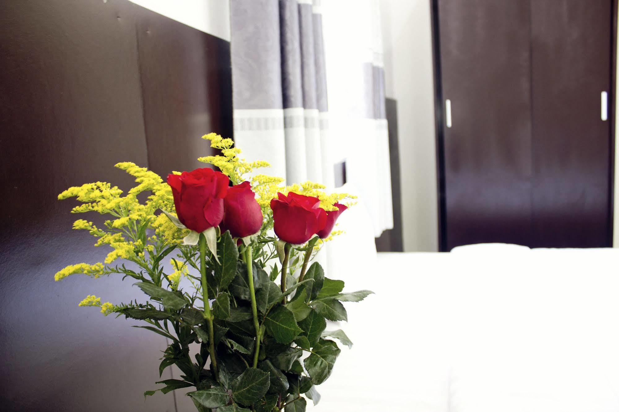Thy Phuong Hotel *
