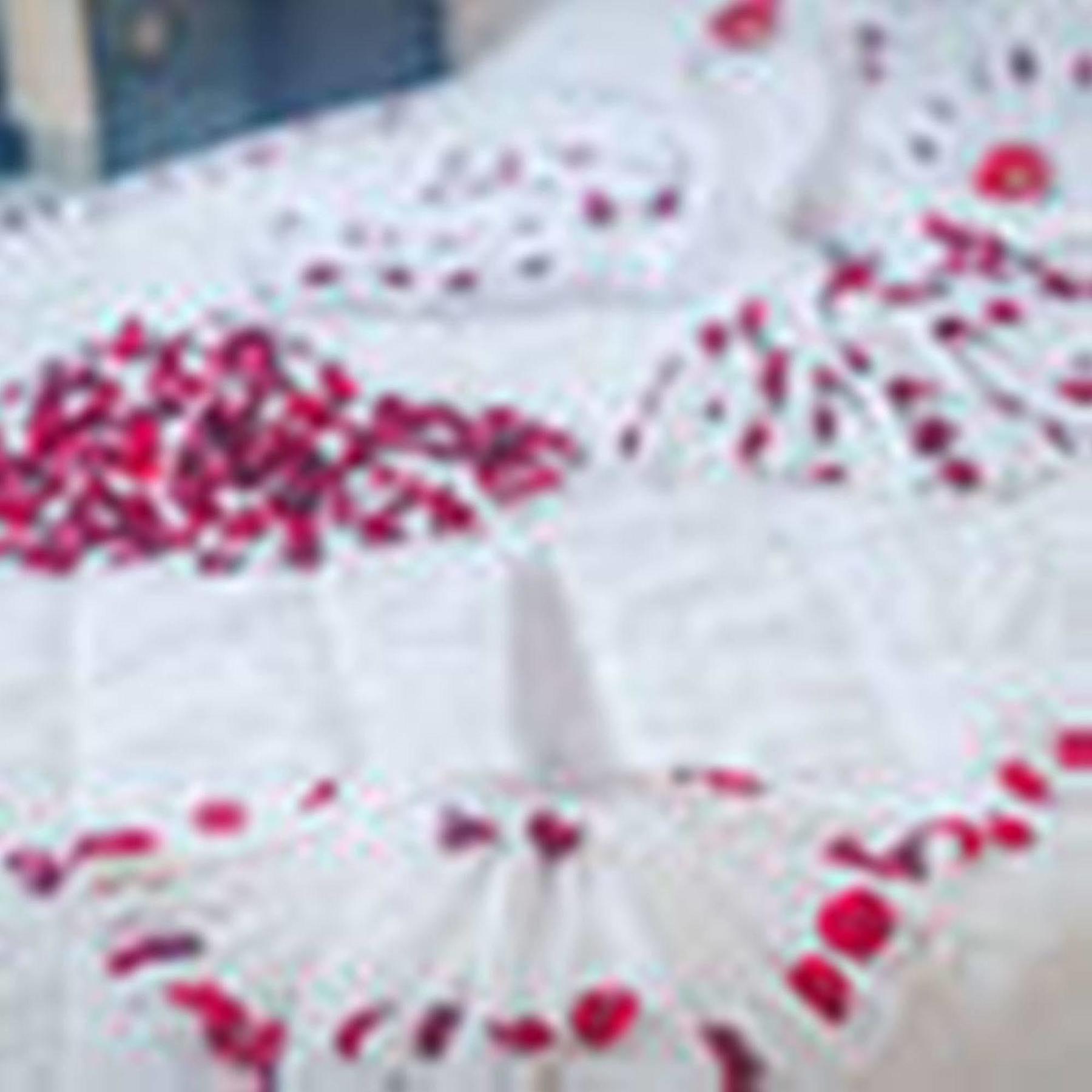 Hotel Oyo 117 Gina Da Nang