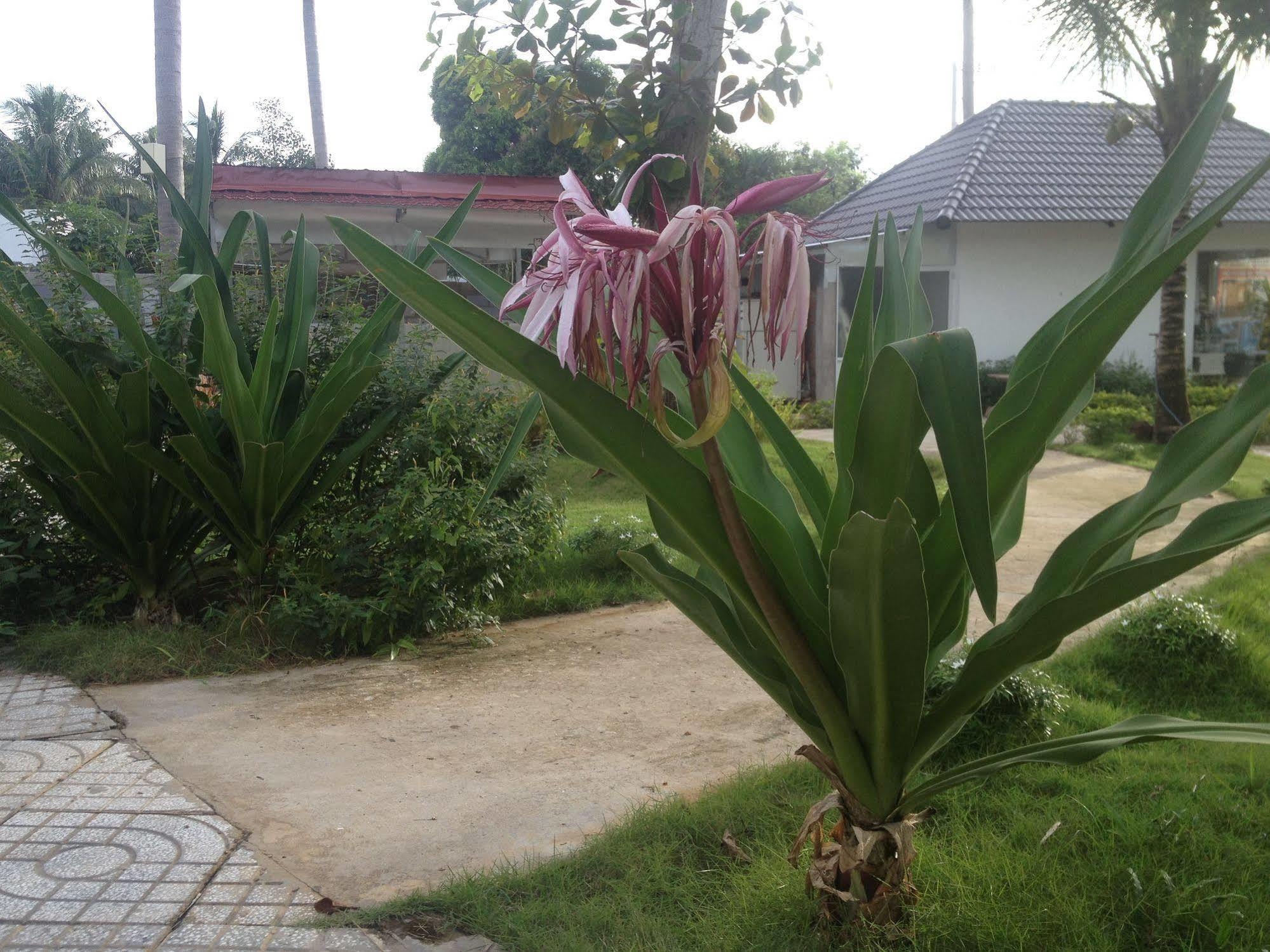 Hotel Rum Resort Phu Quoc 3*