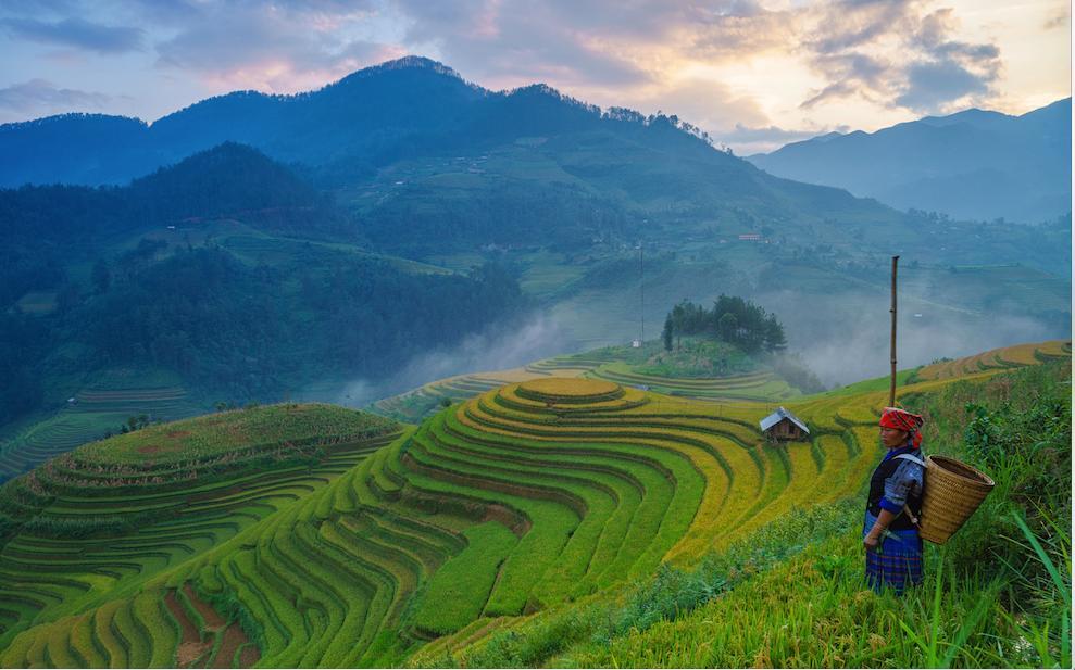 Tavan View Sapa