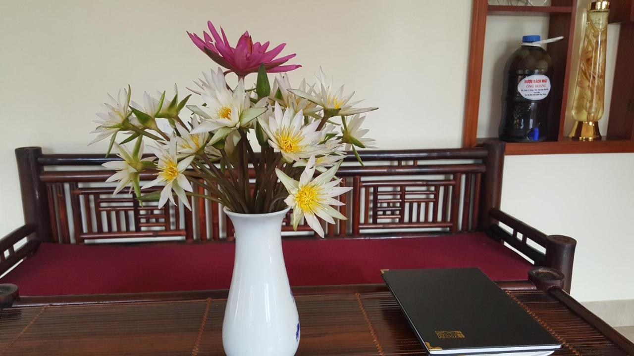 Cozy Son Khách sạn