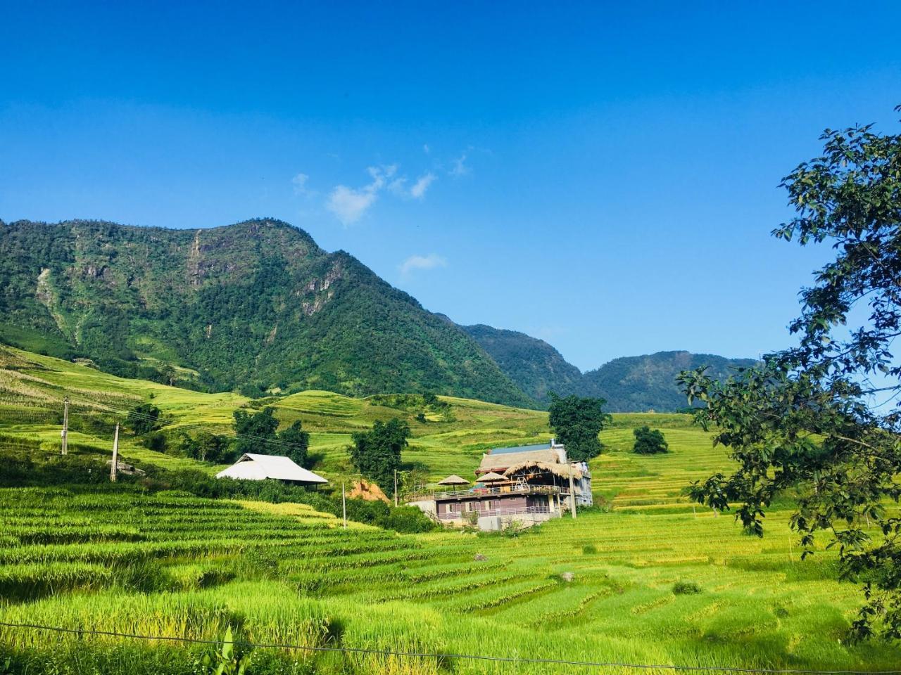 Homestay Hoa's Sa Pa