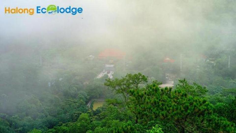 Ecolodge * Ha Long