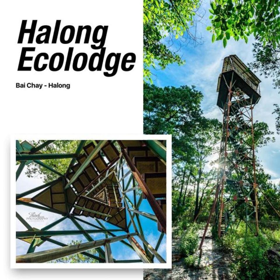 Lodge Ecolodge *