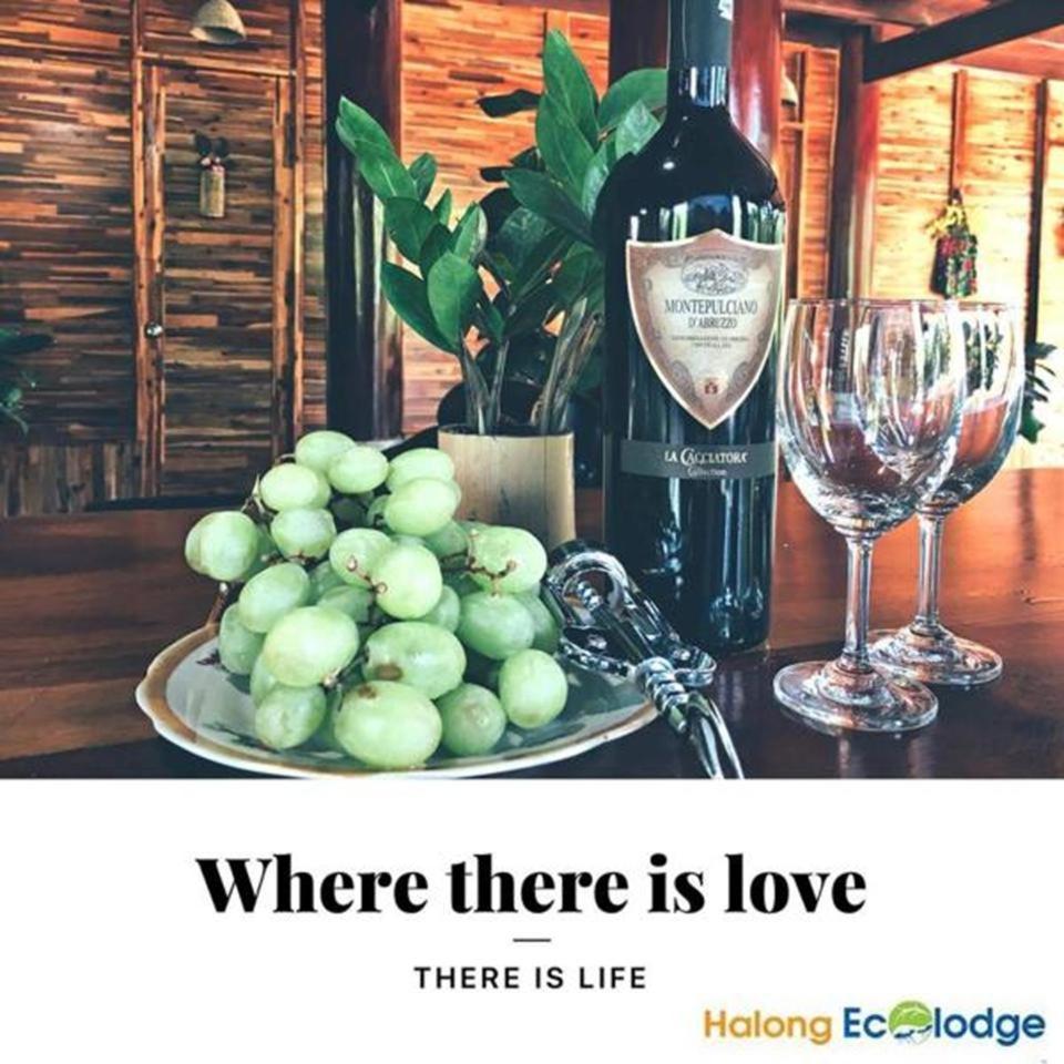 Ecolodge Lodge Ha Long