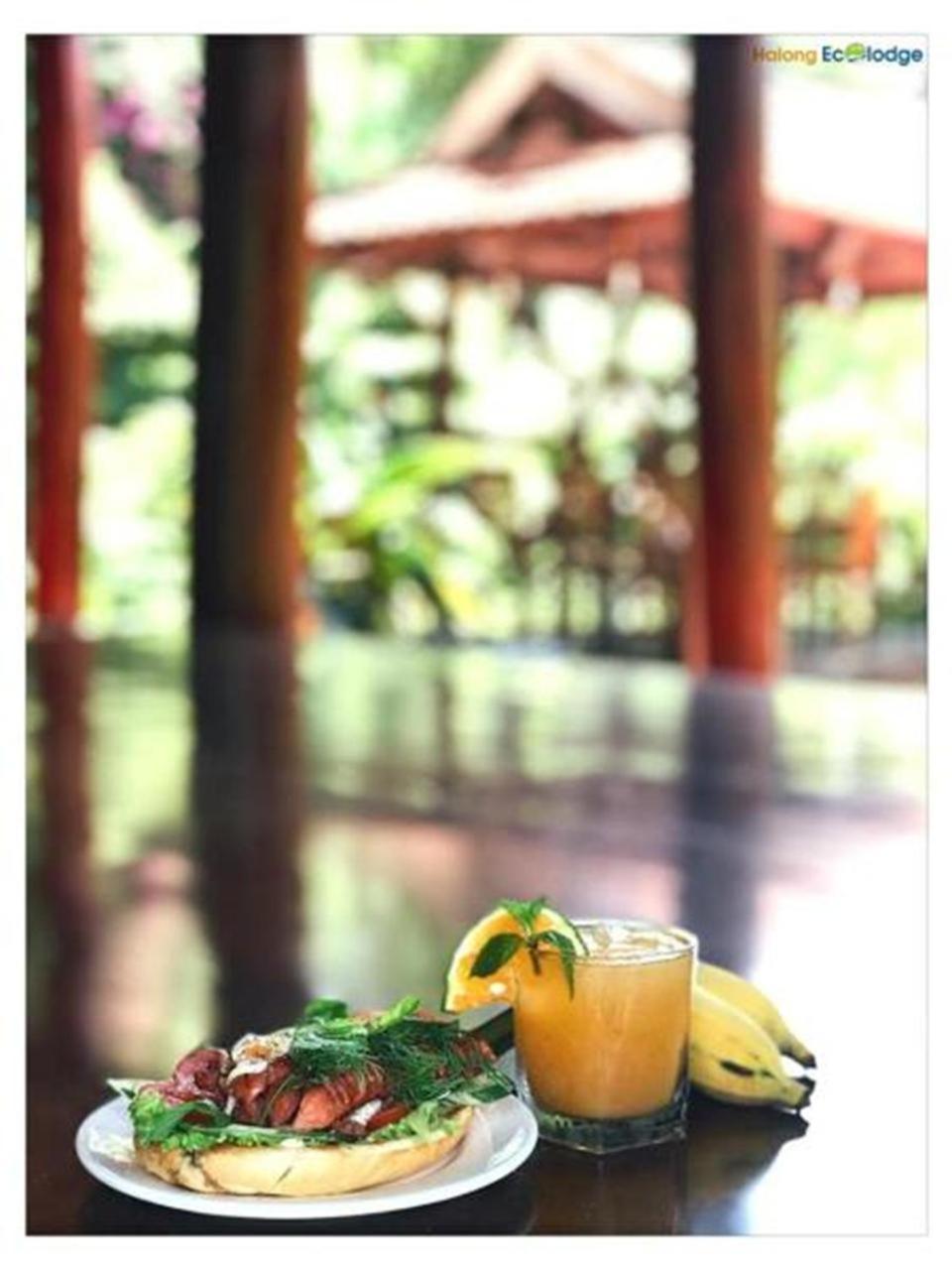 Ecolodge *