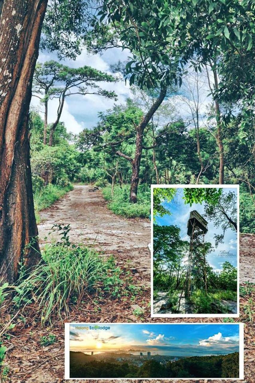 Ecolodge Lodge