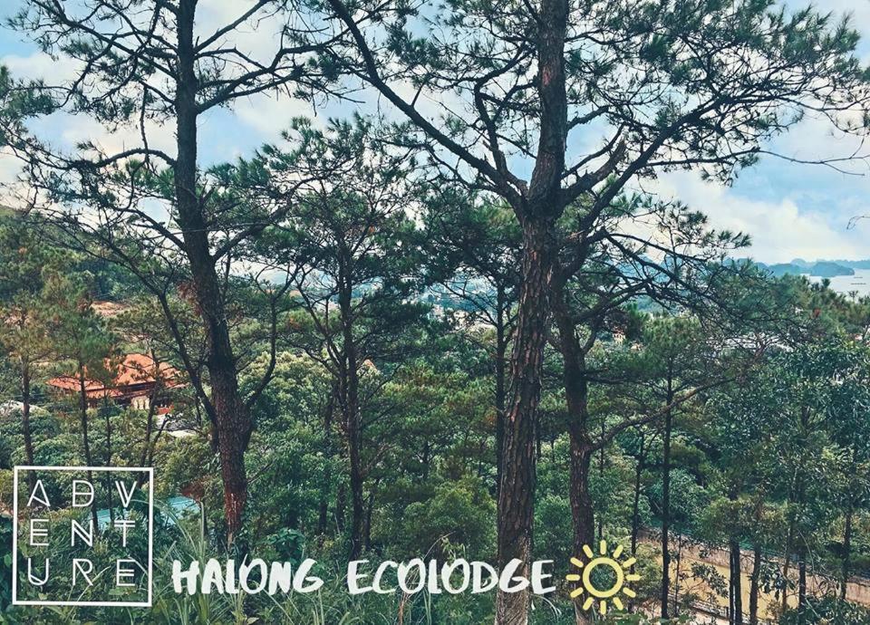 Ecolodge * Ha Long
