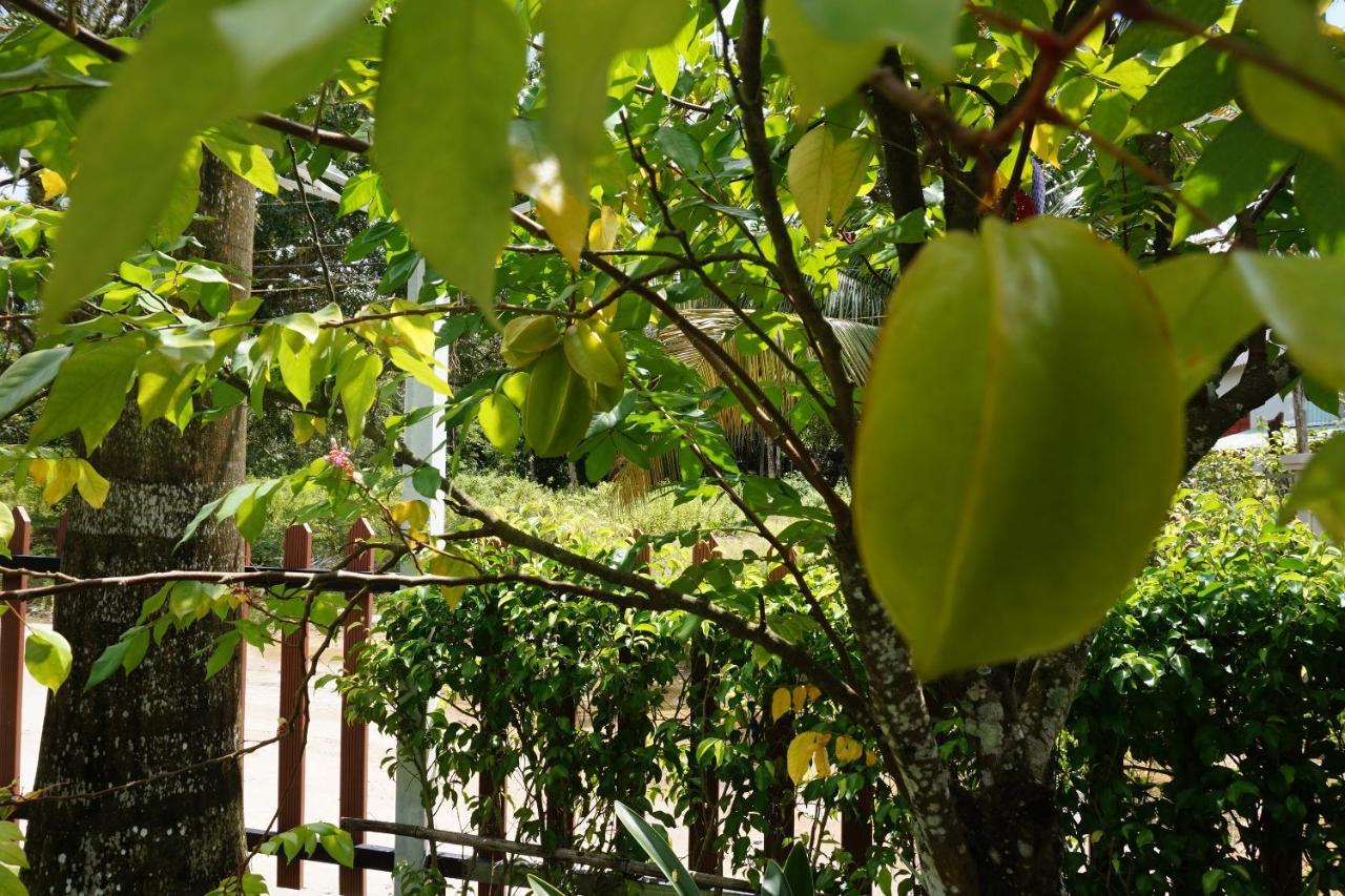 Resort Phu Quoc Hotel 3*