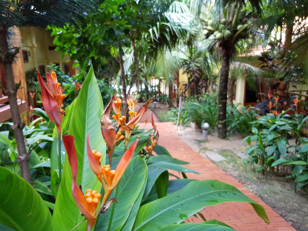 Free Resort
