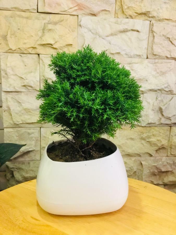 Whale Hướng đại Dương Khách sạn Đà Nẵng