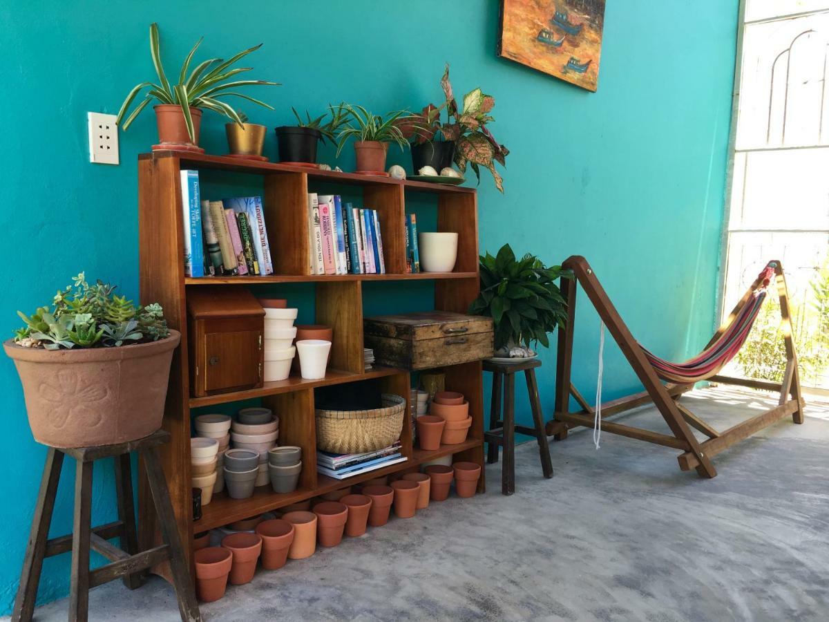 Hostel Lana Land