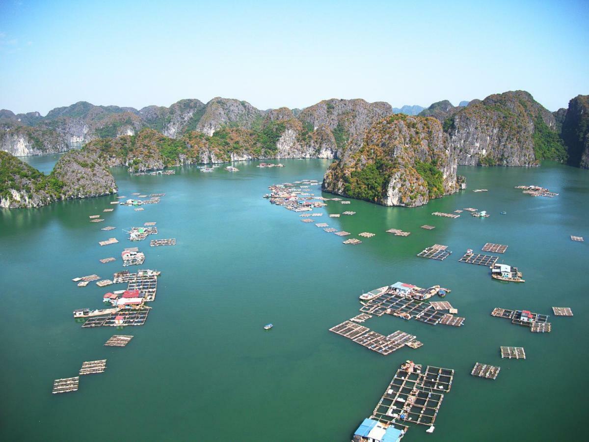 Indochine Cruise Lan Ha Bay 5*