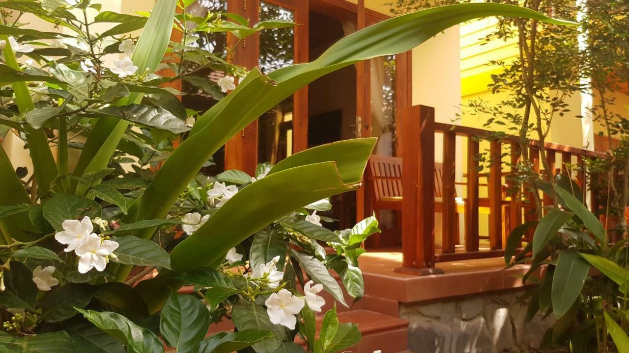 Resort Free 2*