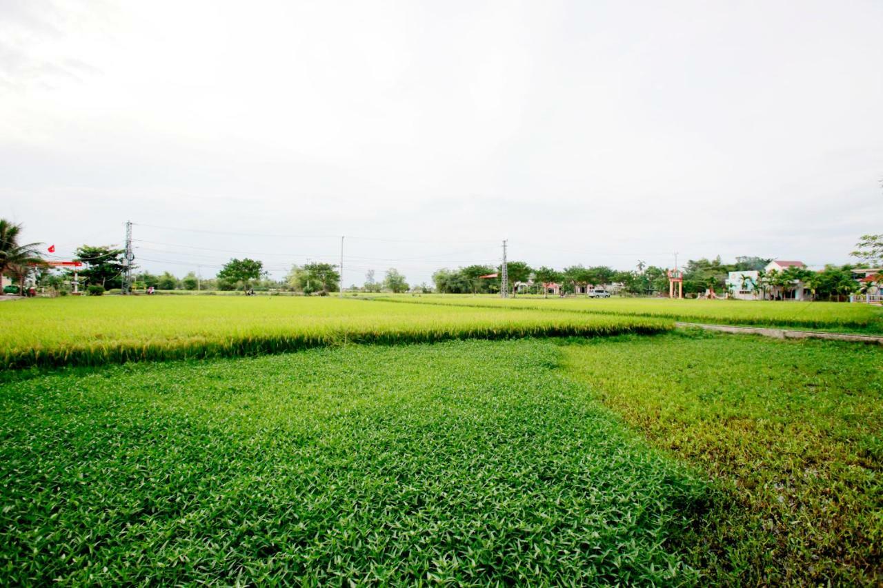 Homestay Rice Flower
