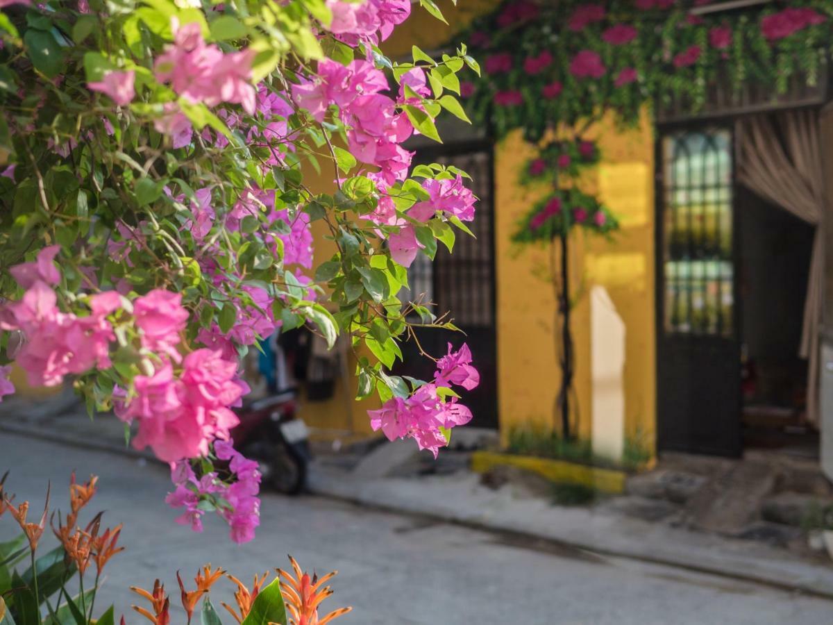 Wings House Homestay