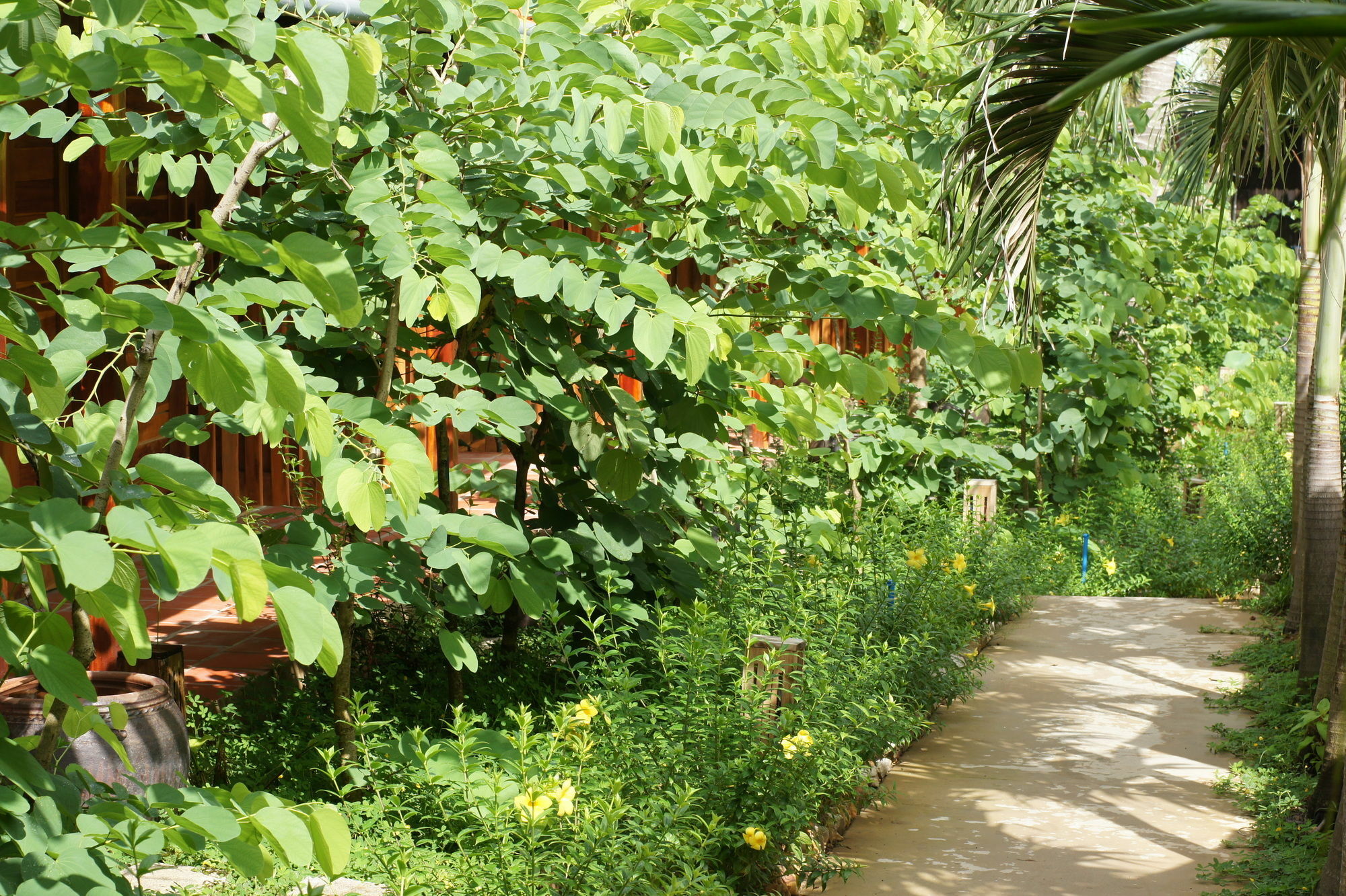 Bauhinia Resort&spa Resort 4*