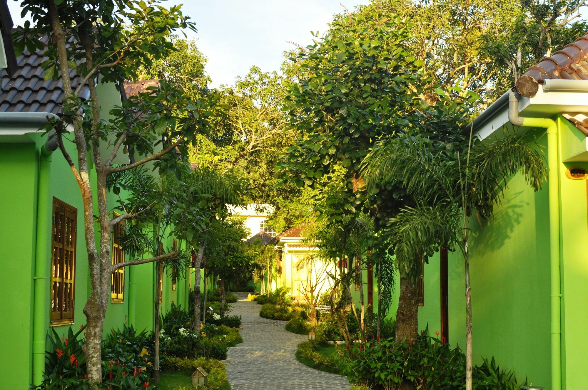 Resort Bamboo