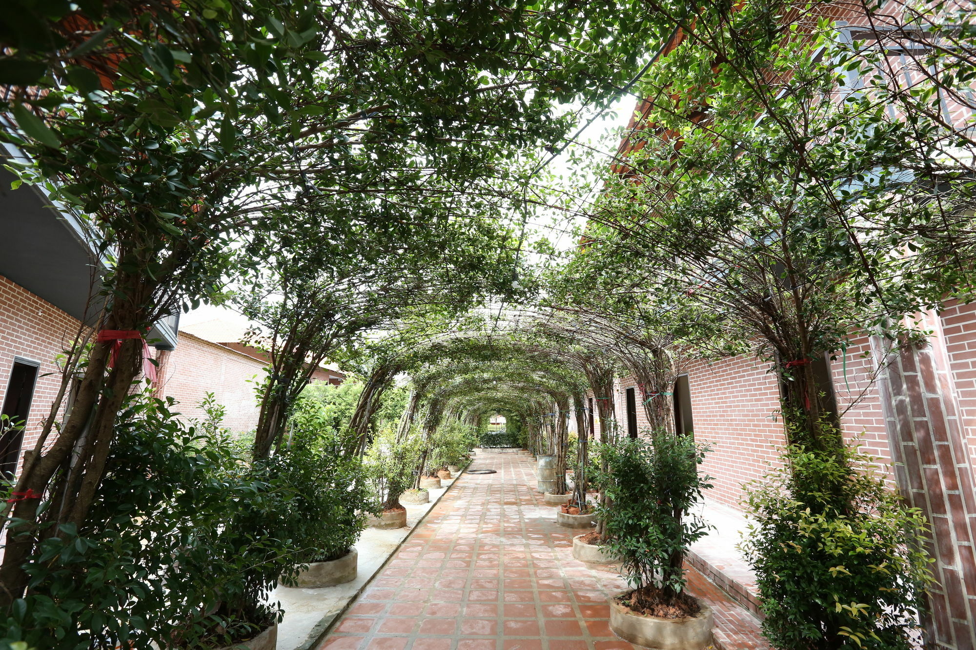 Countryside Garden & Bar Khu nghỉ mát Phú Quốc