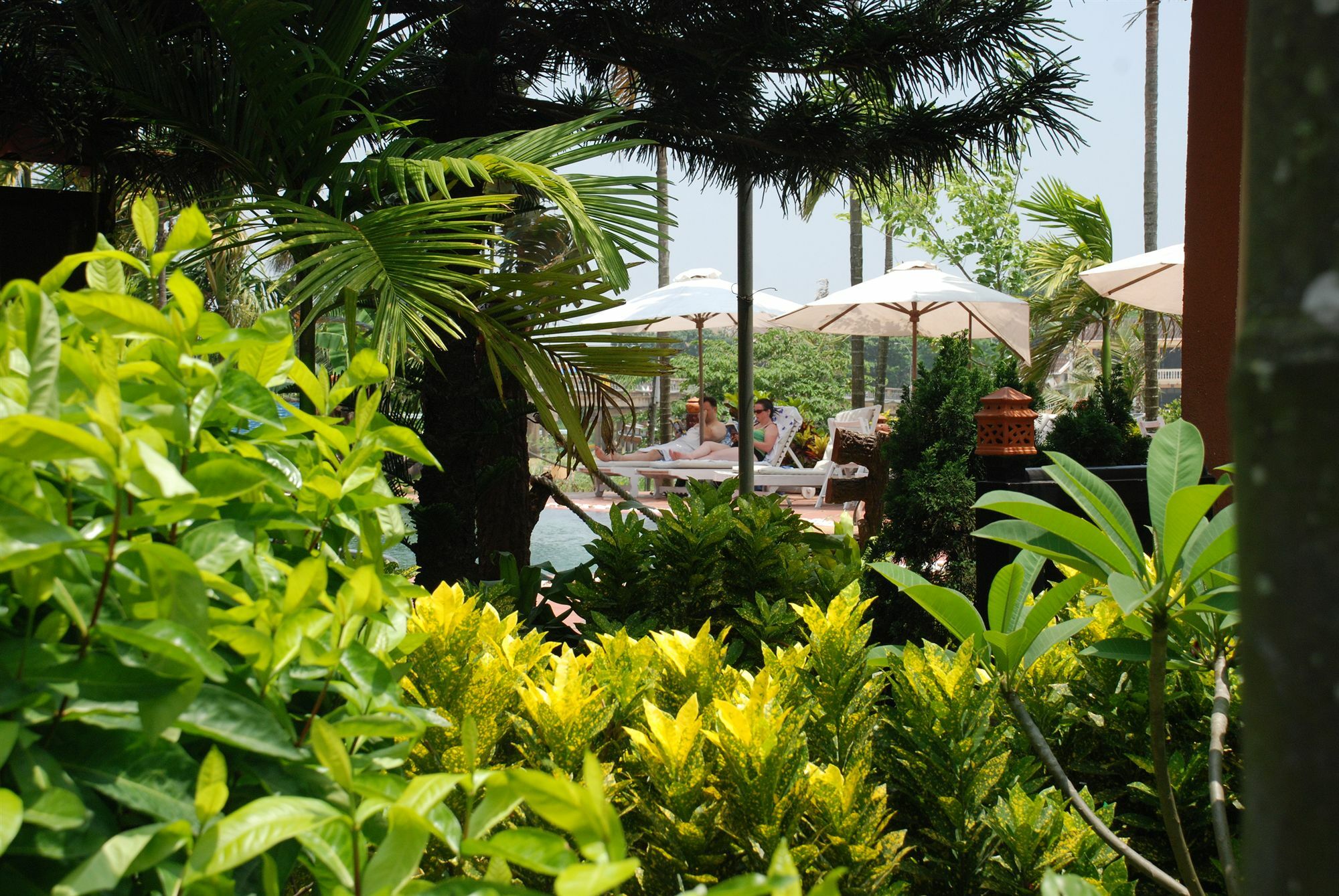 Khu nghỉ mát Pho Hoi Riverside 3*