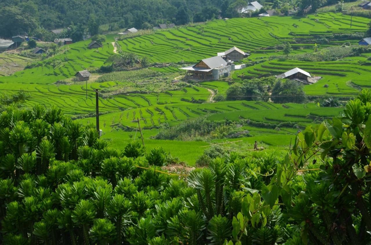 Homestay La Beaute Sa Pa