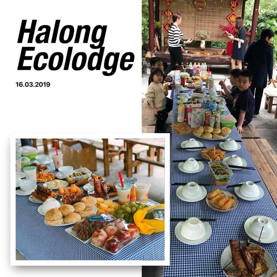 Ecolodge Lodge *