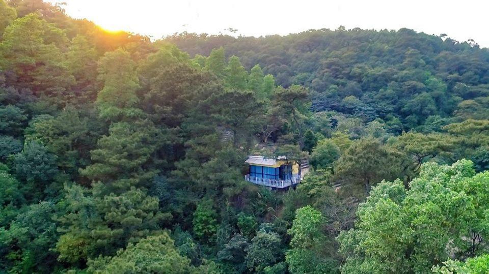 Ecolodge Lodge *
