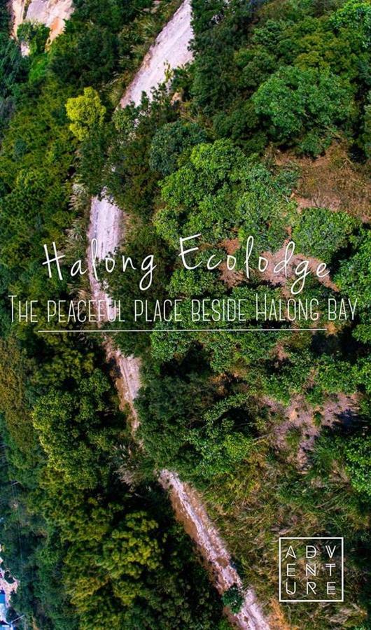 Ecolodge Lodge Ha Long