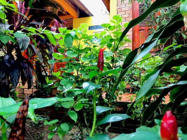 The Venue Guest house 2*