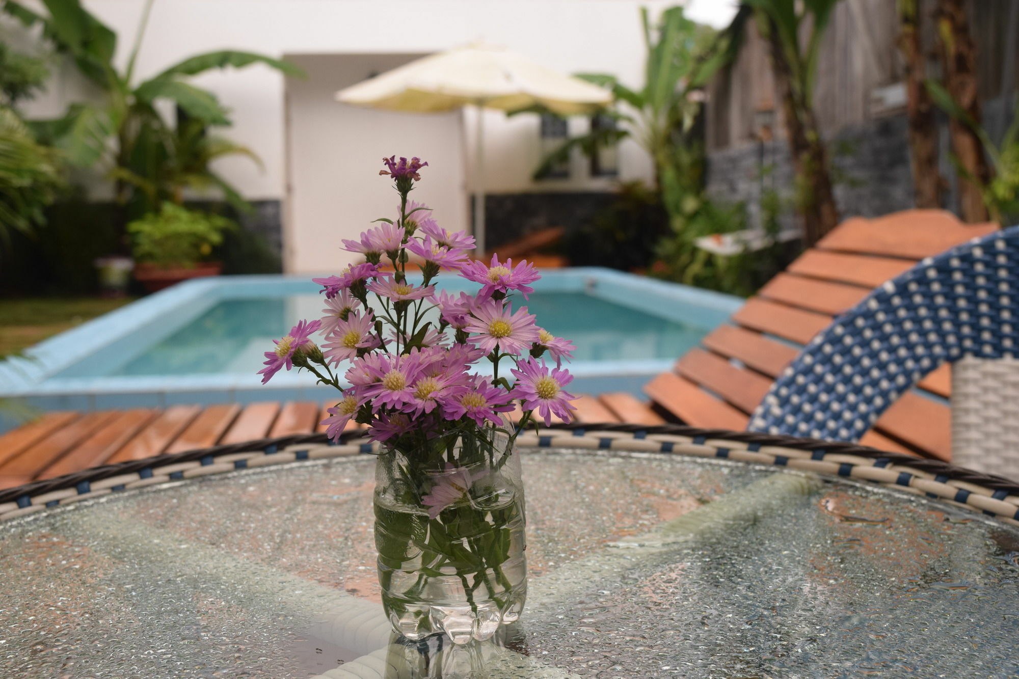 Orchid Guest house 2*