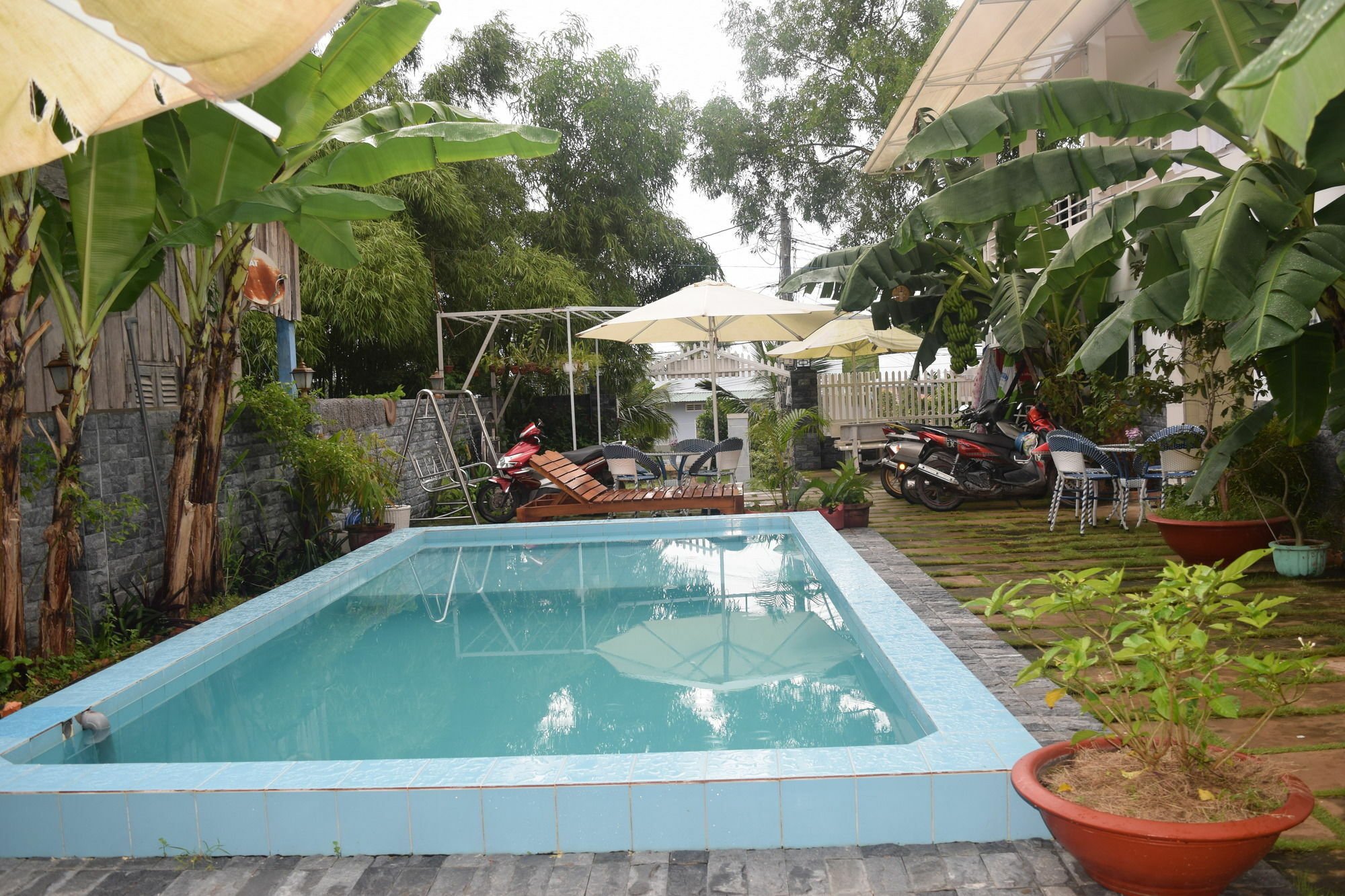 Guest house Orchid 2*