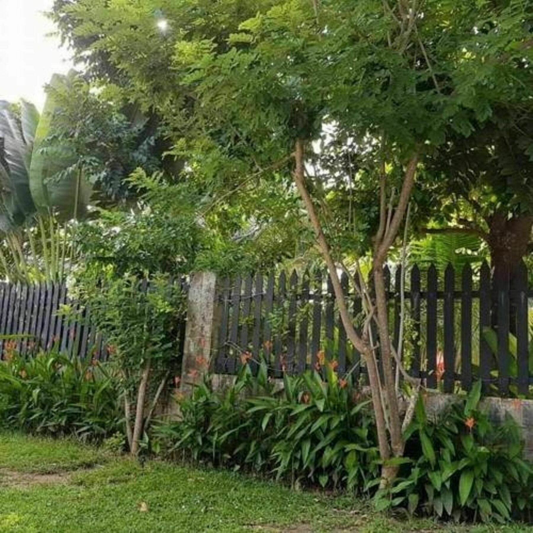 Hotel Hana & 2*