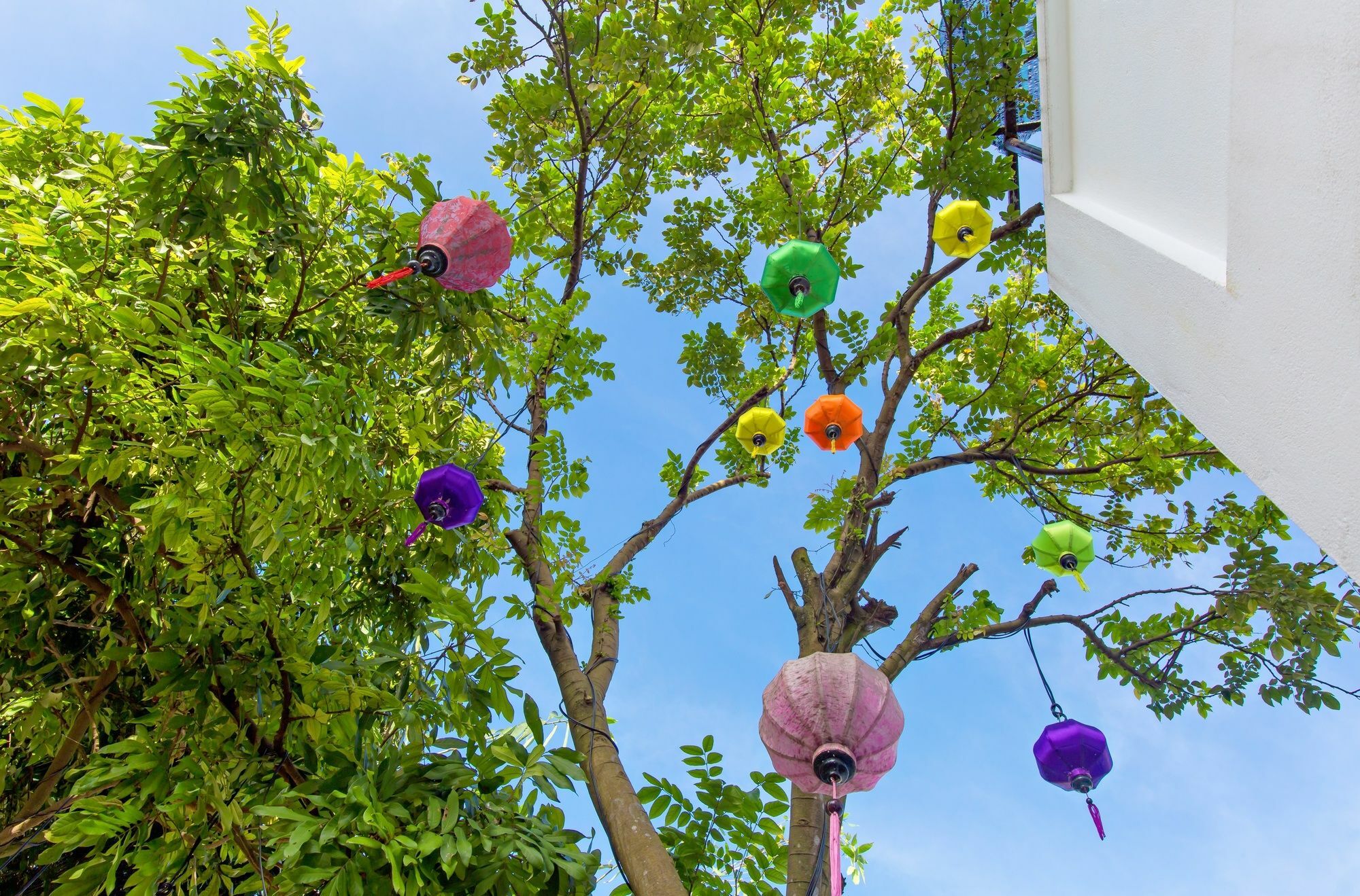Villa Ohana Gadren Hoian By Cocoviet