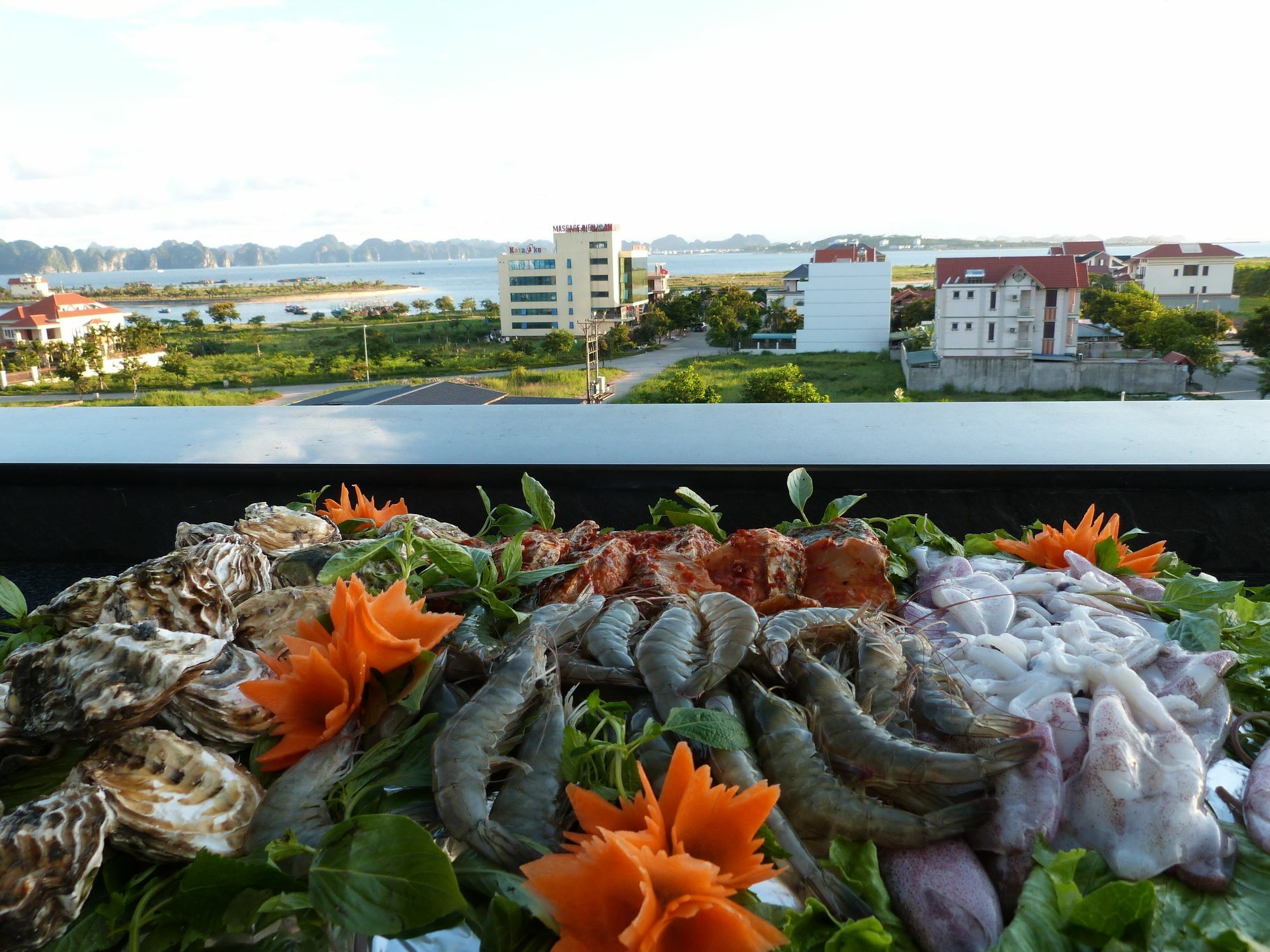 Hotel Halong Palace
