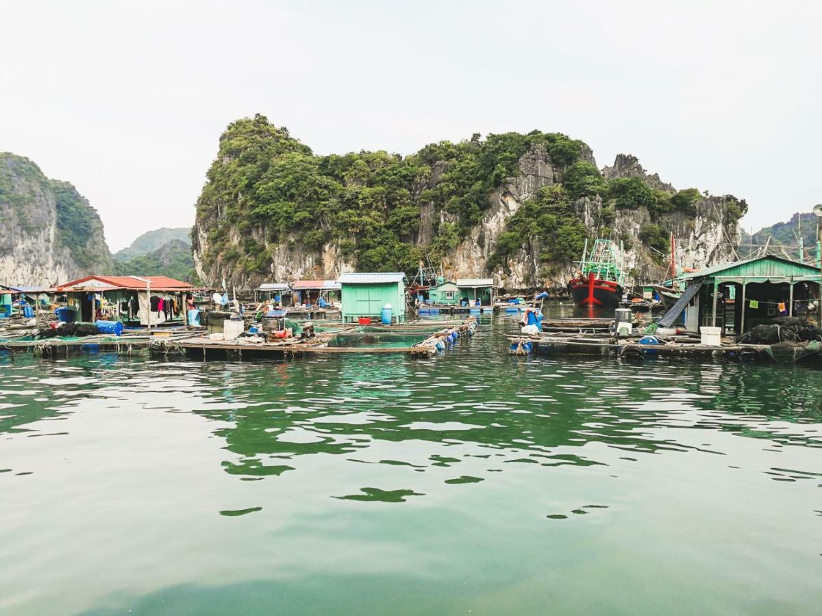 Heritage Line Ylang Cruise - Halong Bay & Lan Ha Bay  5*
