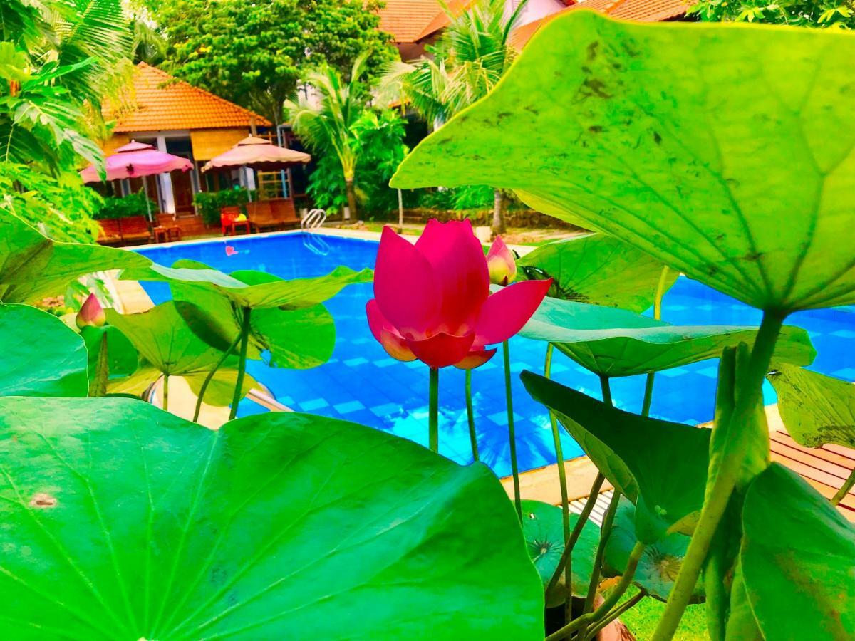 Gecko House 2*