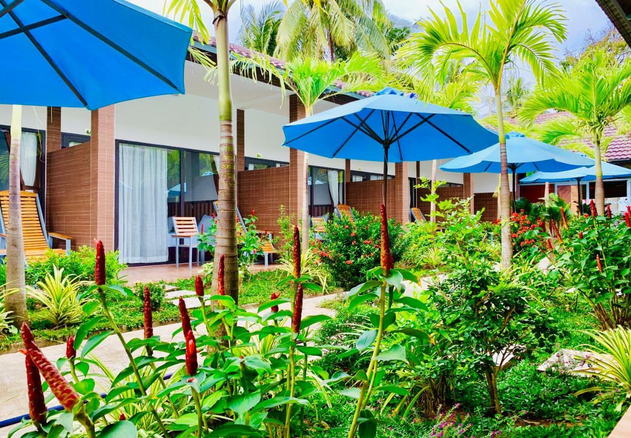 Canary Guest house