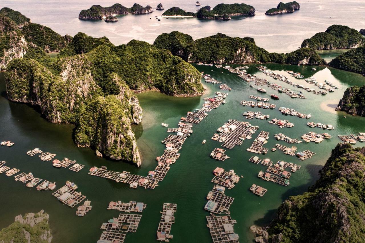 Heritage Line Ylang Cruise - Halong Bay & Lan Ha Bay 5*