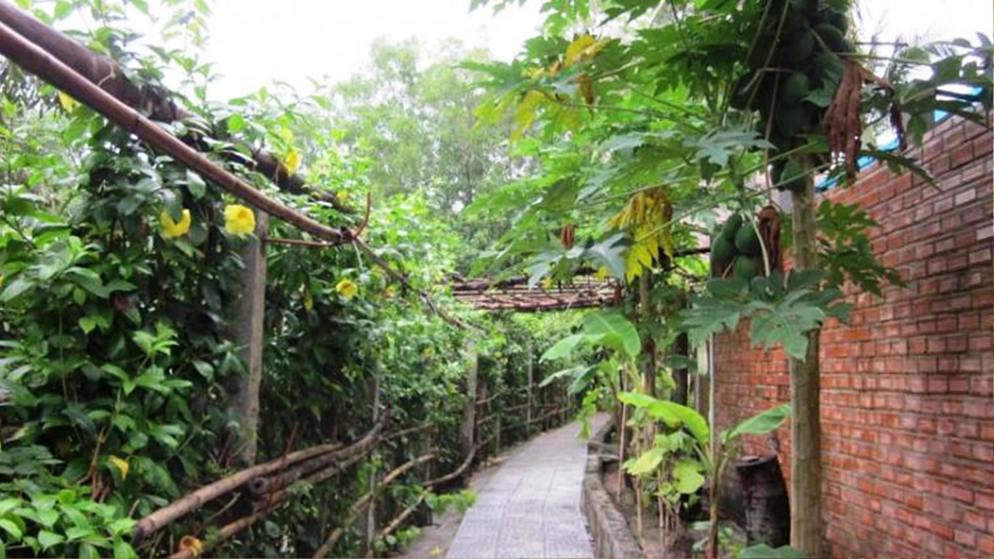 Song Xanh Hotel Phu Quoc