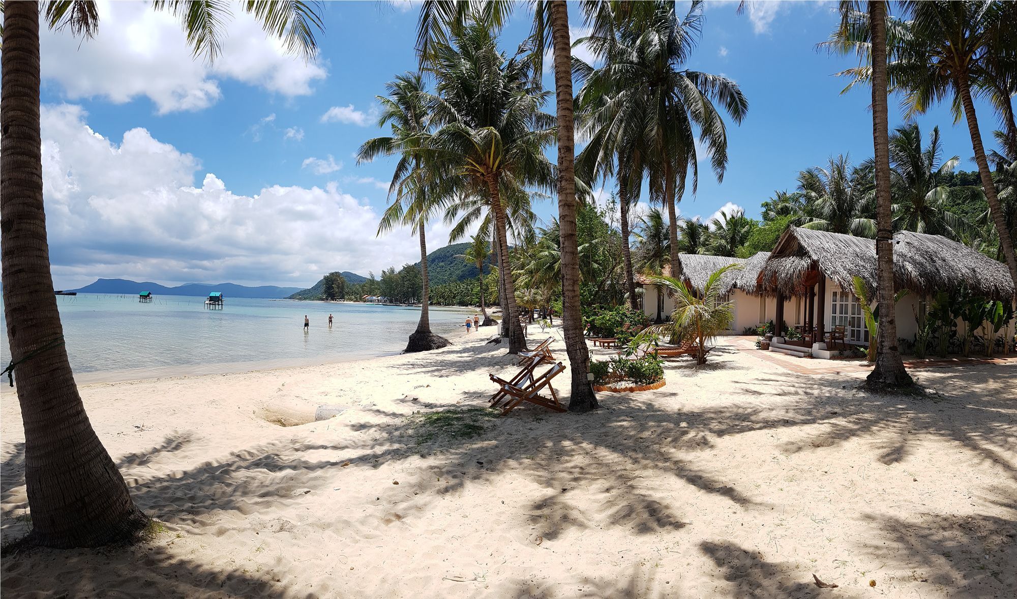 Peppercorn Phu Quoc