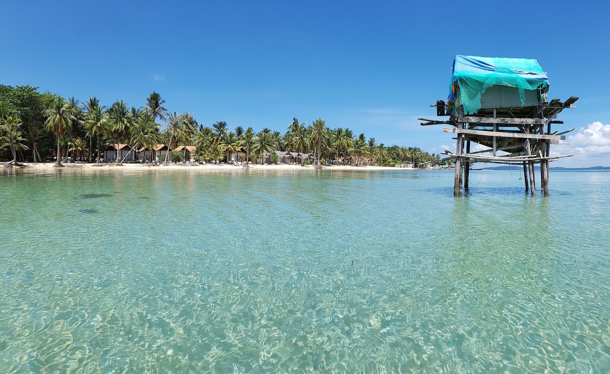 Peppercorn Phu Quoc