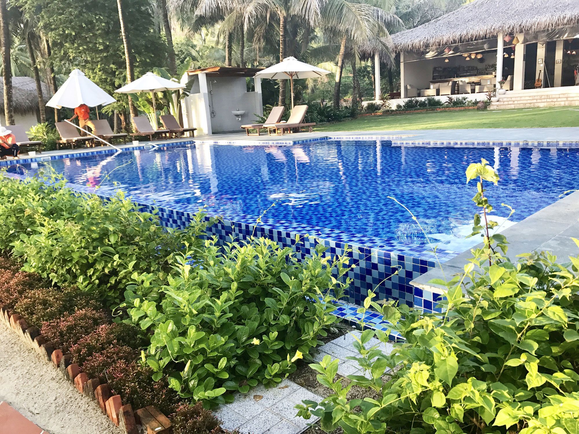 Peppercorn Phu Quoc