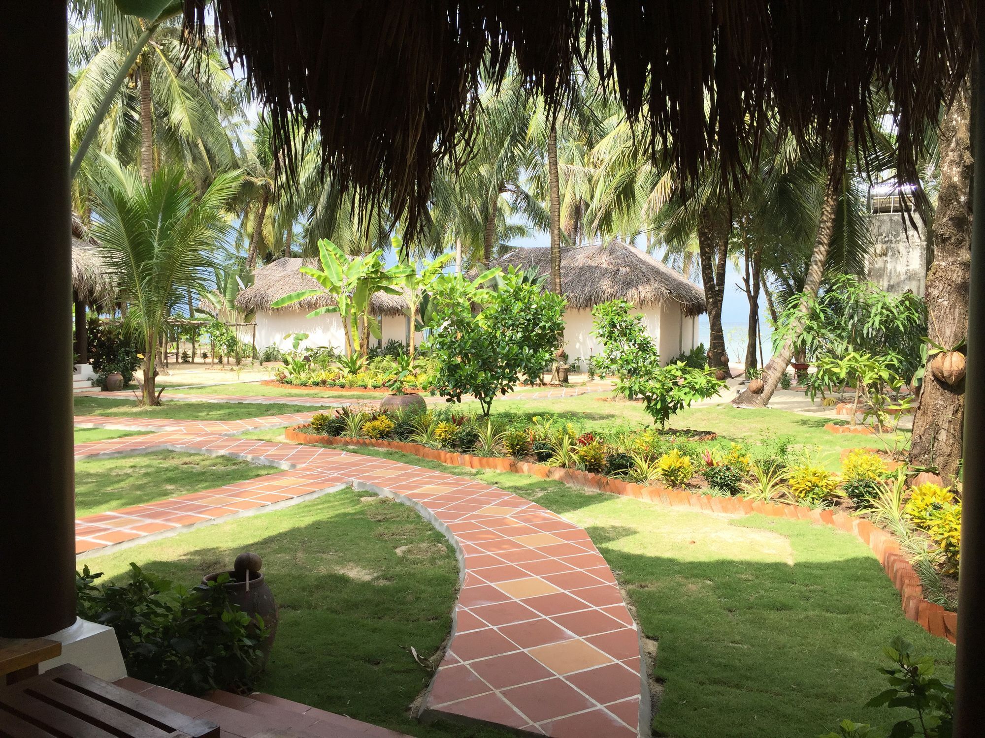 Peppercorn Phu Quoc
