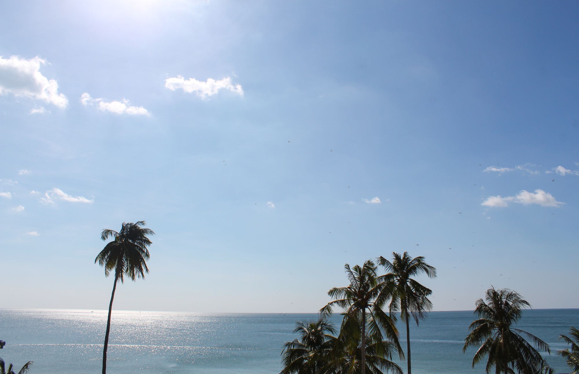 Phuong Binh House Hotel 3*